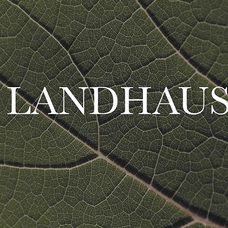 Apartment Landart Illmitz Εξωτερικό φωτογραφία