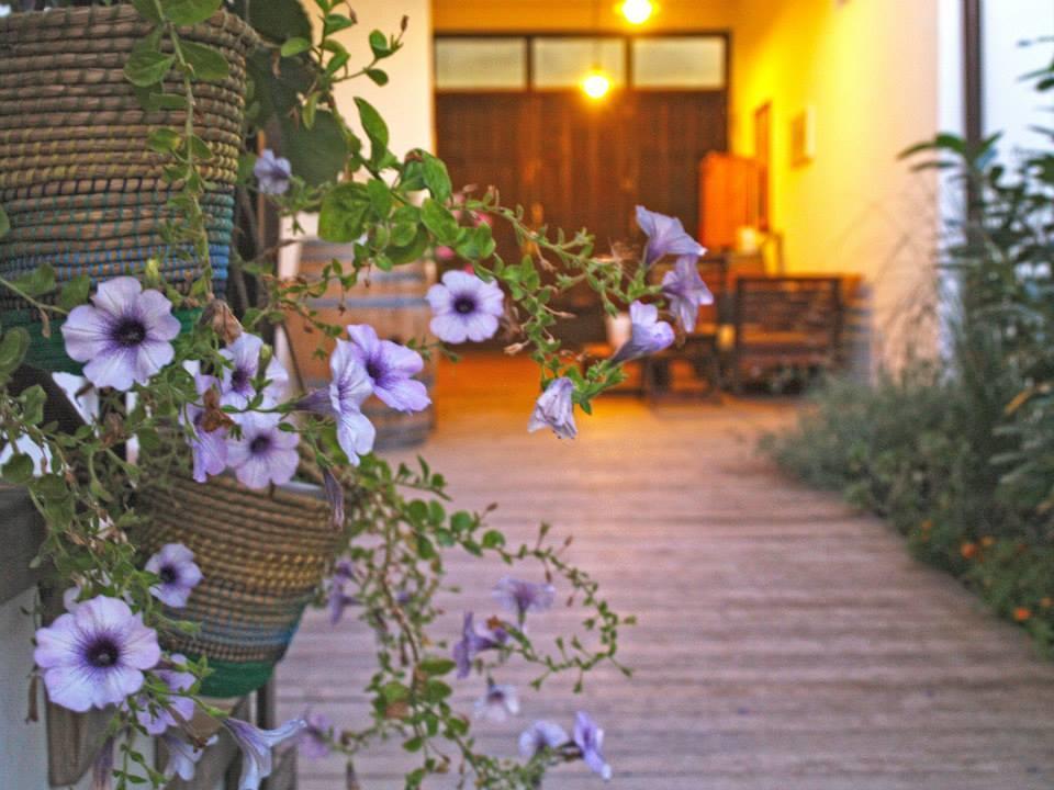 Apartment Landart Illmitz Εξωτερικό φωτογραφία